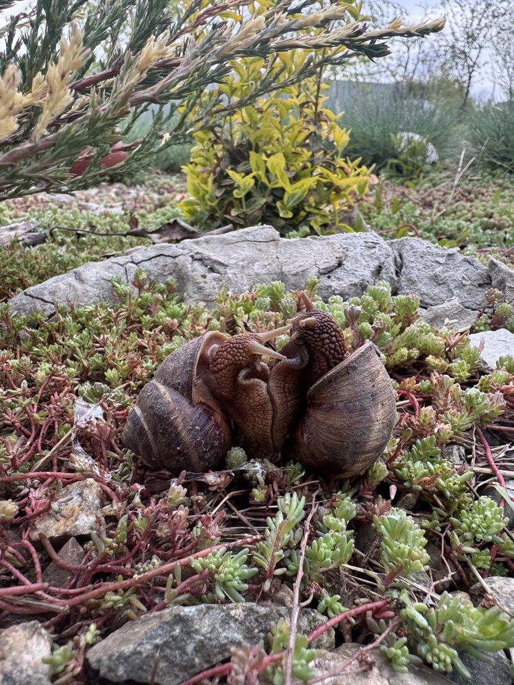 Photograph by Бойкова Наталия