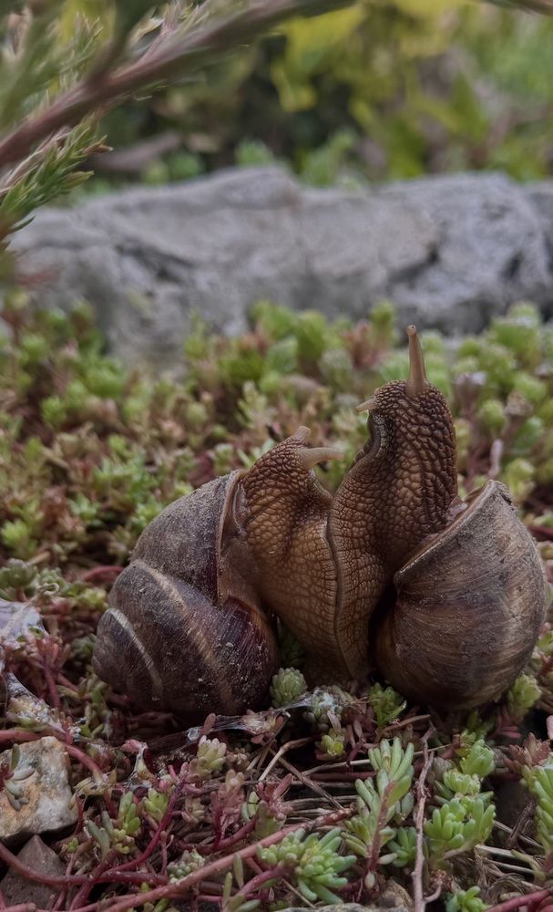 Photograph by Бойкова Наталия