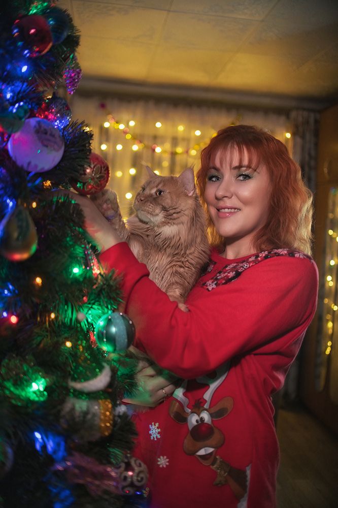 Фотография автора Иван Сафронов