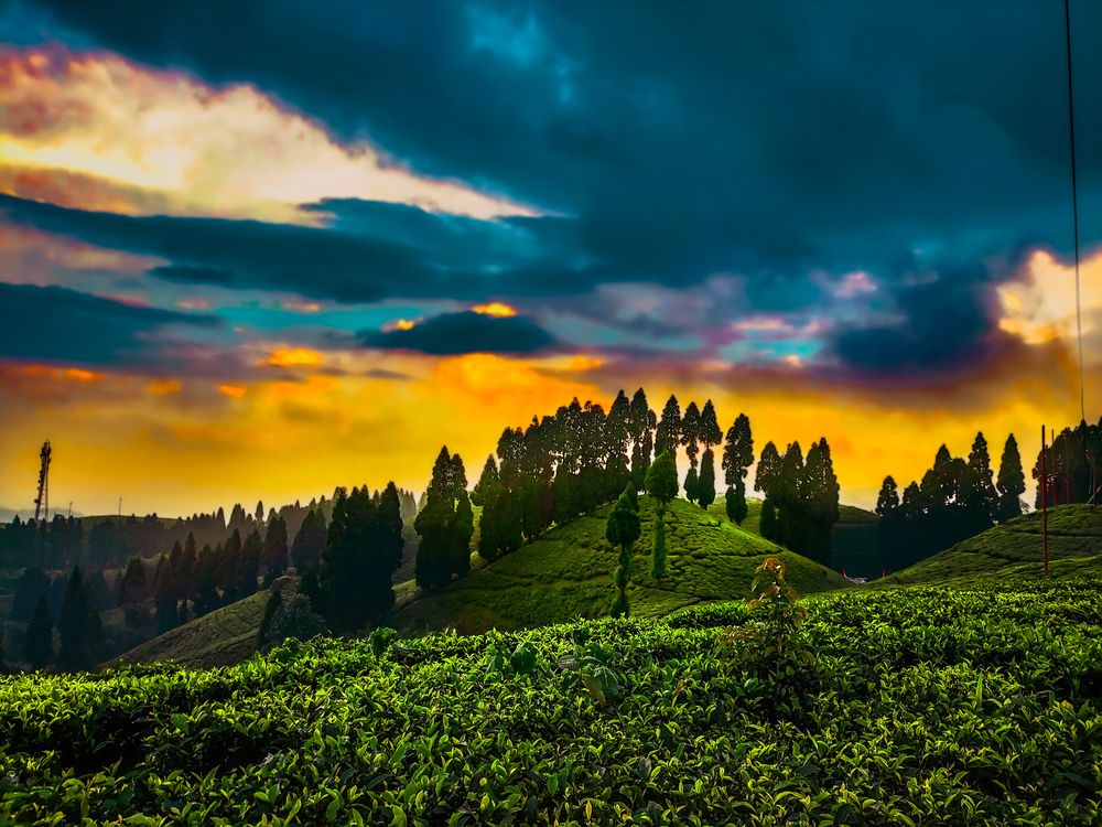 Beauty  of nature at dusk