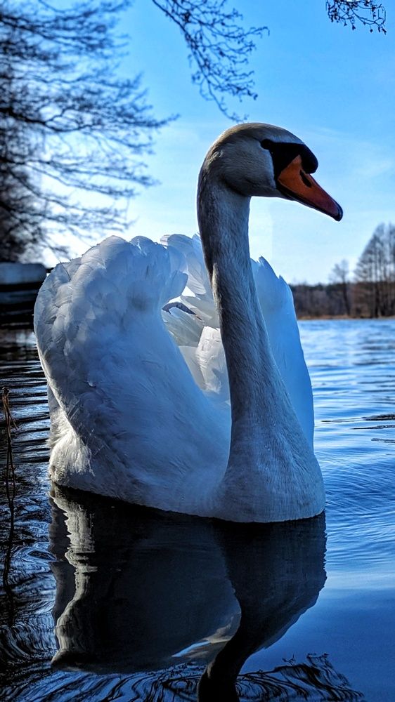 Photograph by Ольга и Андрей Трухан