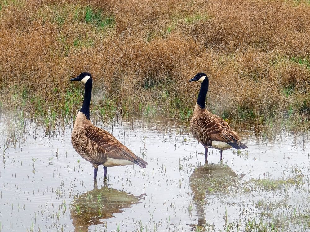 Фотография автора Jeff Cooley