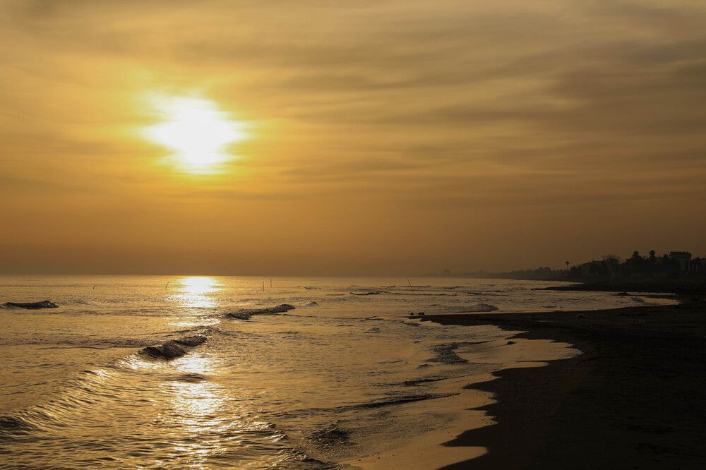 Photograph by Bita Mozaffari