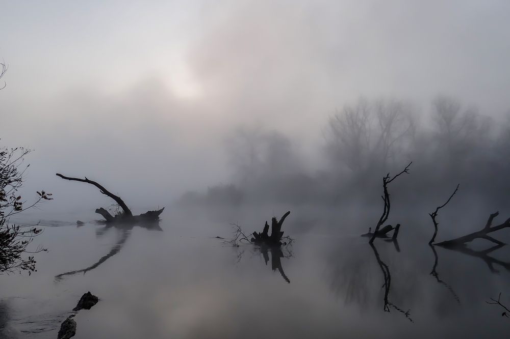 Photograph by Шишкалов Константин