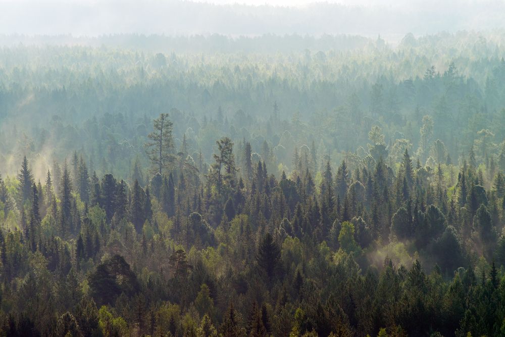 Photograph by Воинков Виктор