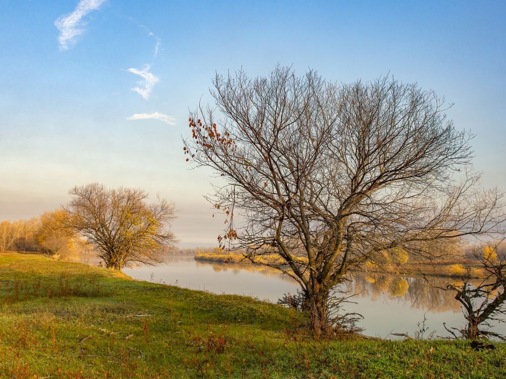 Photograph by Denis Polushin