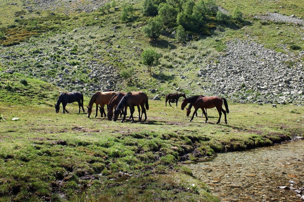 Photograph by Зорин Миша