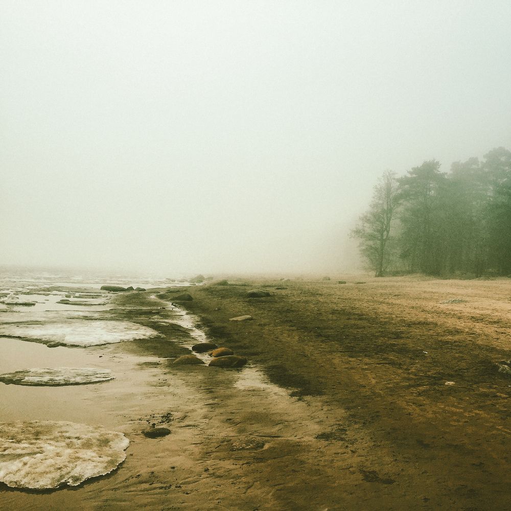 Photograph by Julia Smilovitsky