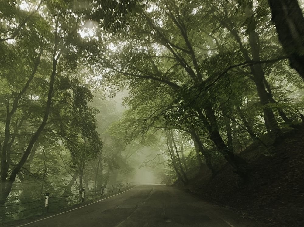 Photograph by Julia Smilovitsky