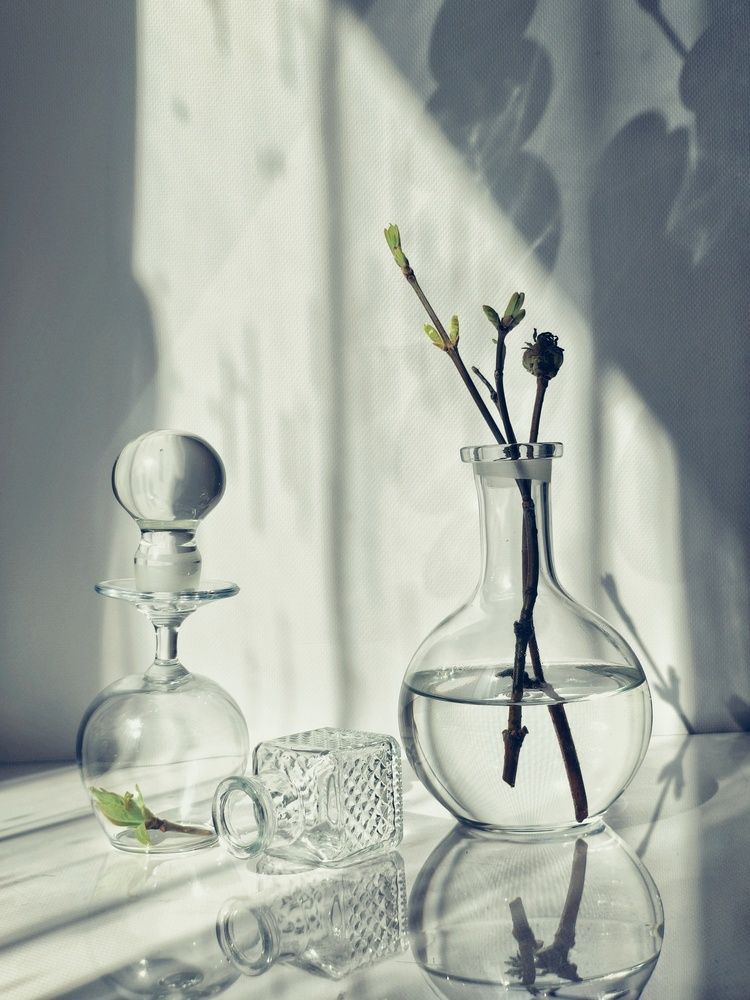 Photograph by Олеся Хижко
