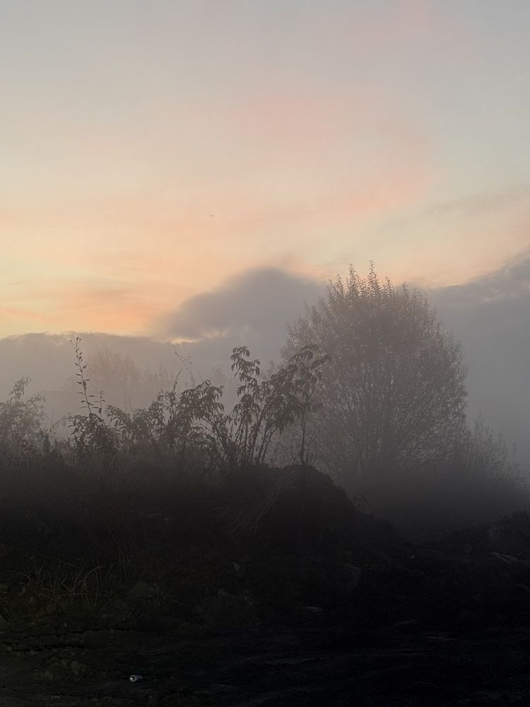 Photograph by Zhanna Kolesnikova