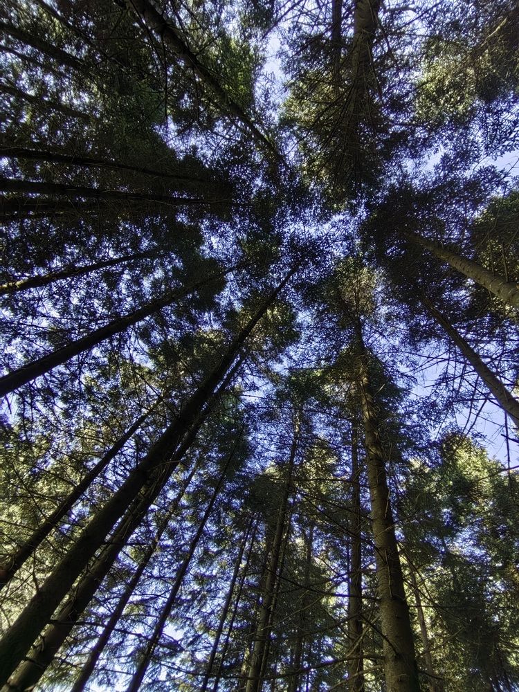 Photograph by Александра Липницкая