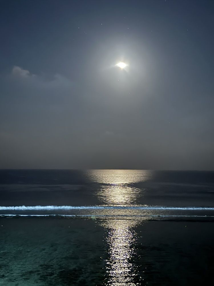 Photograph by Бондаренко Светлана