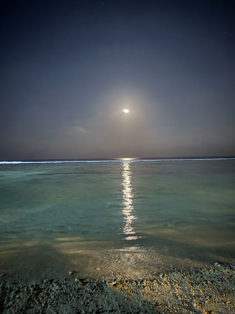 Photograph by Бондаренко Светлана