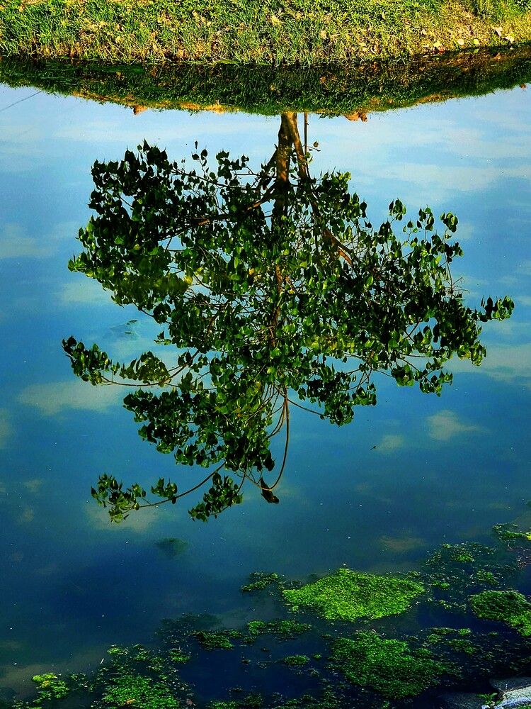 Photograph by G GOVIL