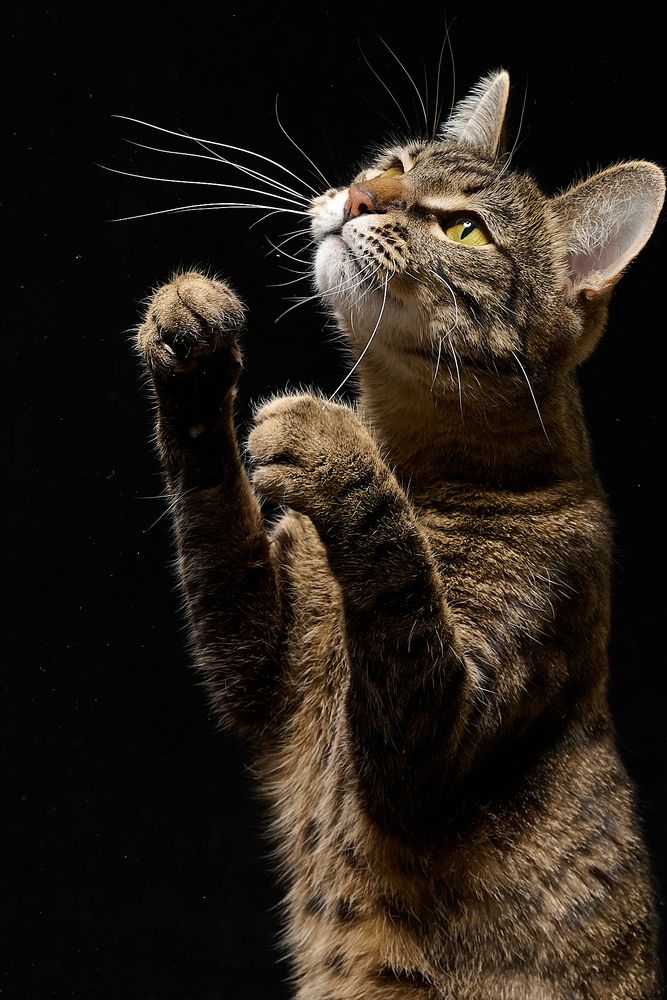 Photograph by Вадим Ершов