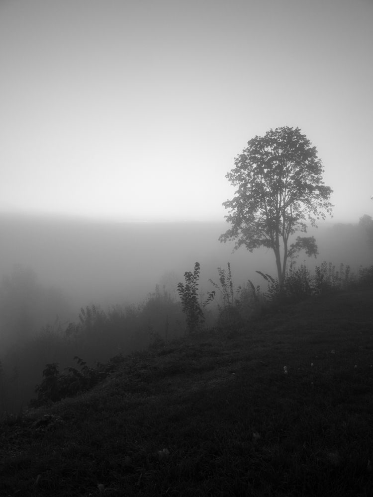 Photograph by Шейко Анна