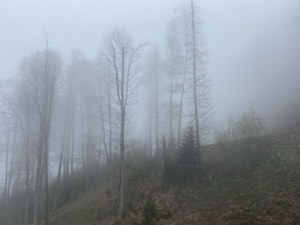 Photograph by Сергей Смирнов