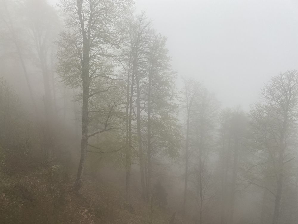 Photograph by Сергей Смирнов