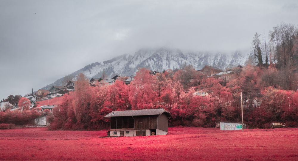 Photograph by Austin Bueno