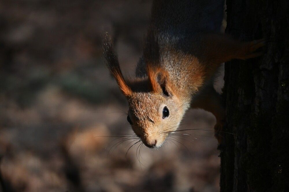 Photograph by IRINA FILIPPOVA