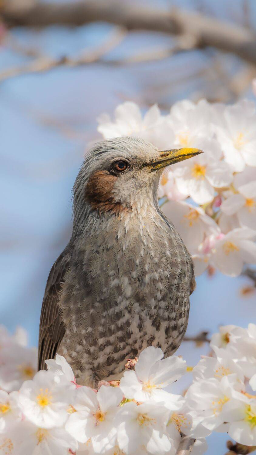 Фотография #12139330