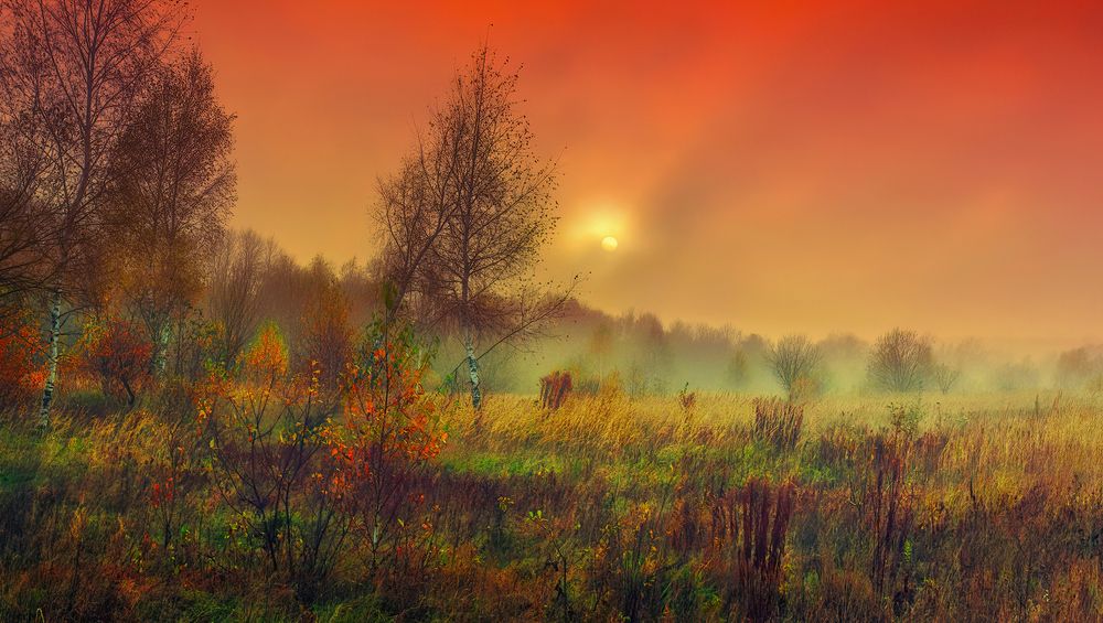 Photograph by Владимир