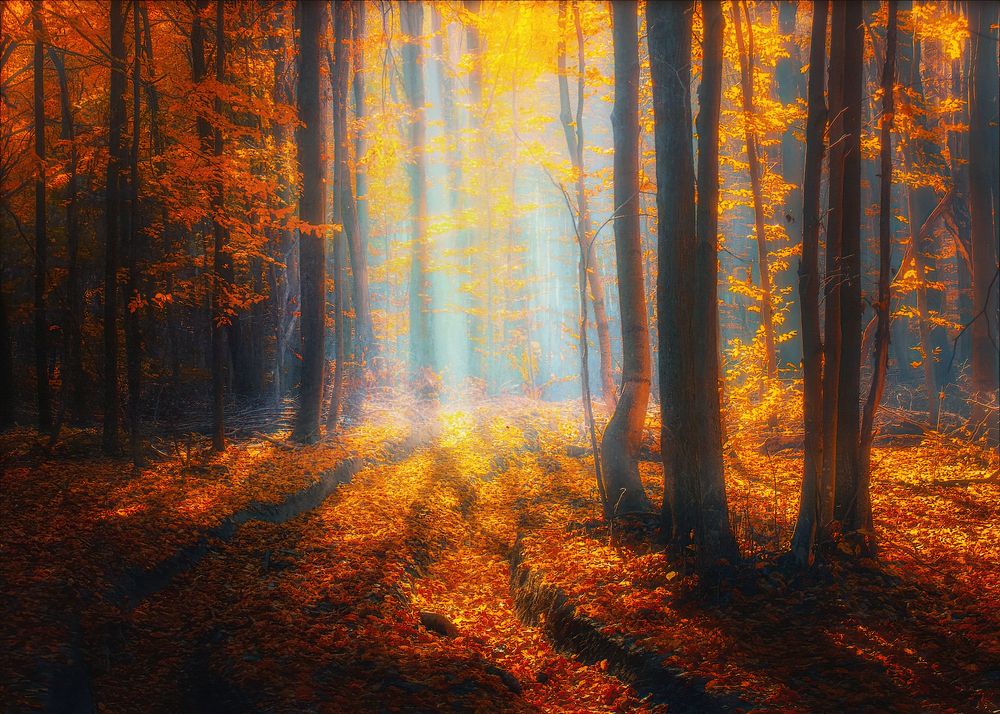 Photograph by Владимир