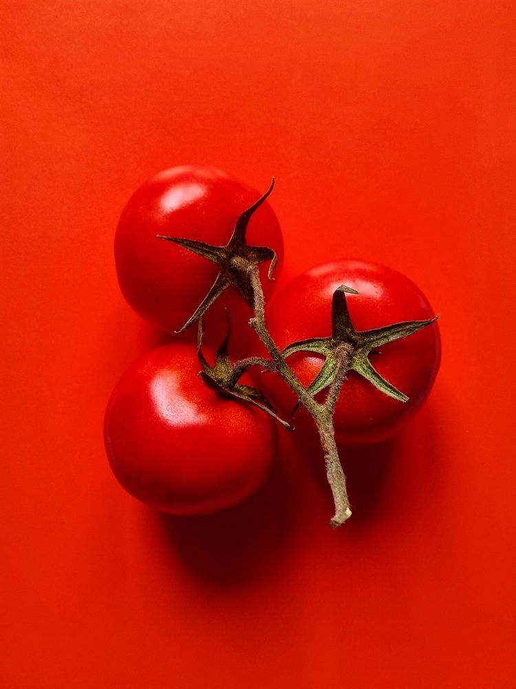 Photograph by Александра Александровна
