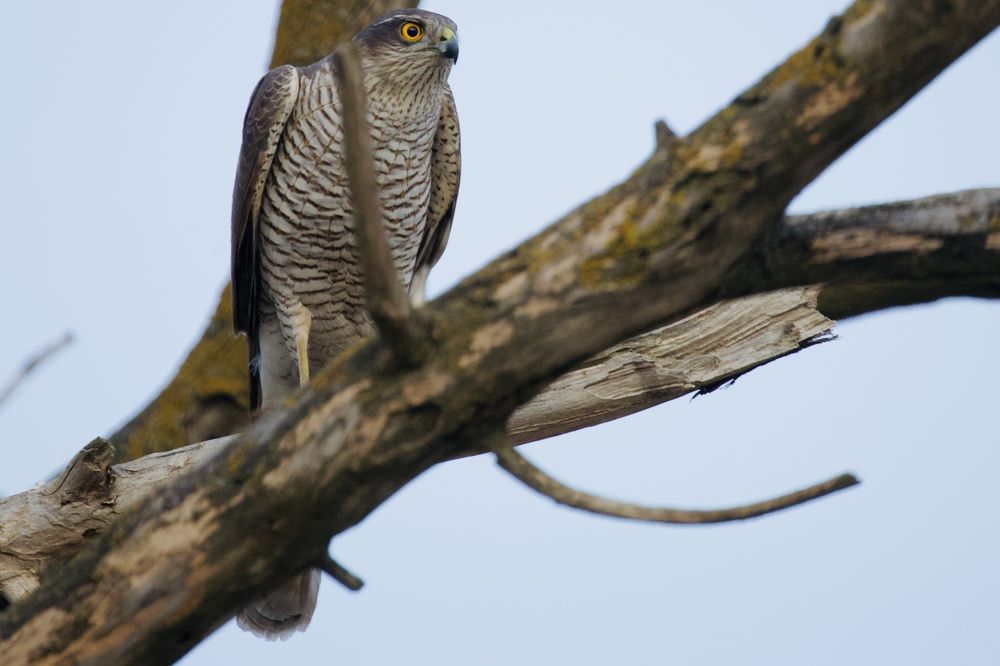 Photograph by Виктор Владимиров