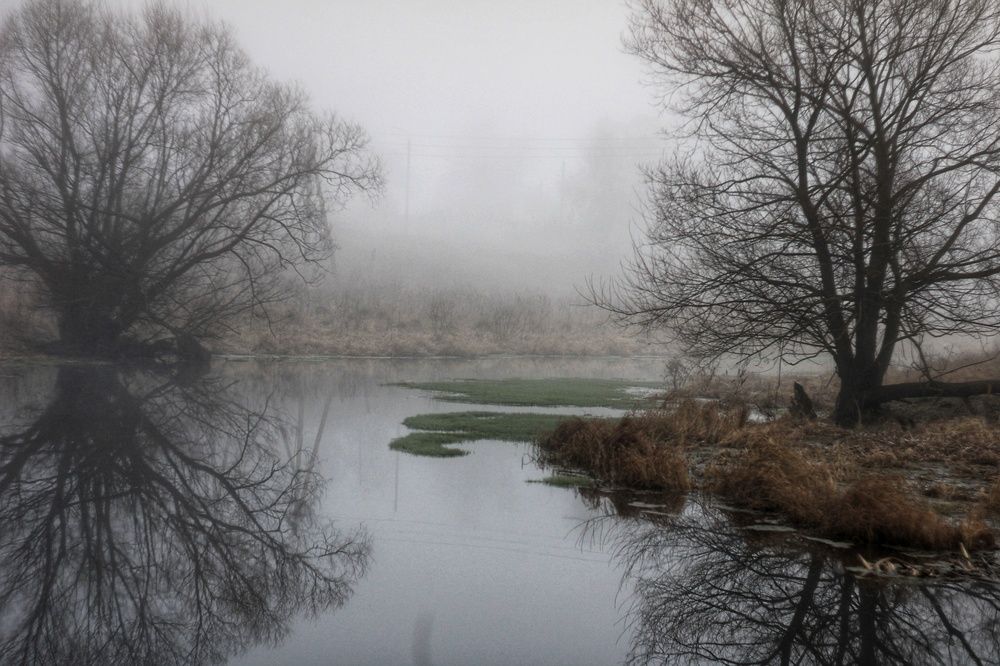 Photograph by Инна Карасева