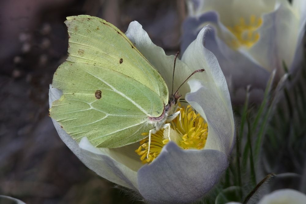 Photograph by Дмитрий Кузнецов