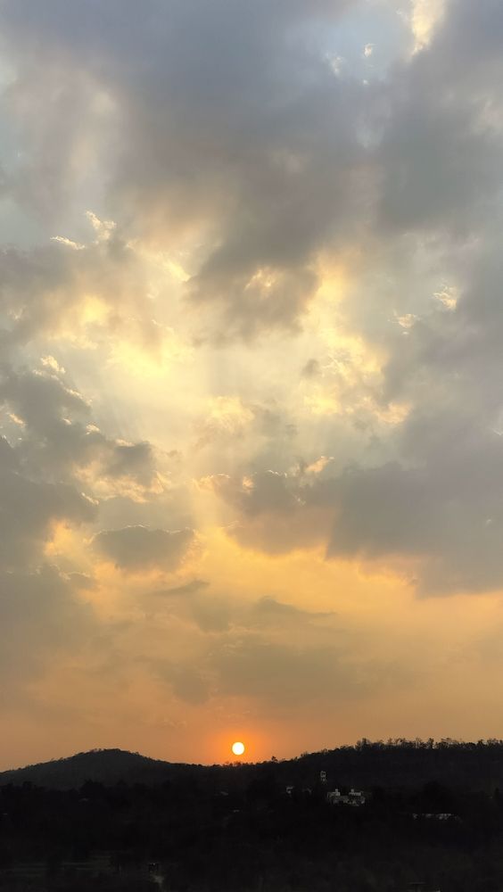 Photo #12139590