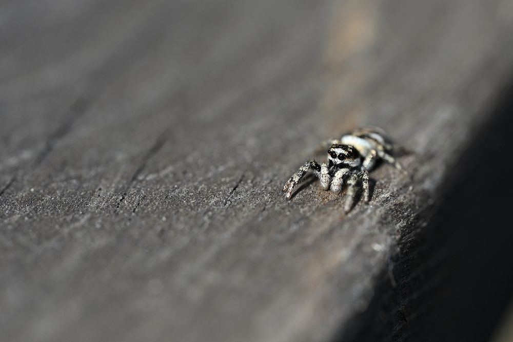 Photograph by Алексей Гордеев