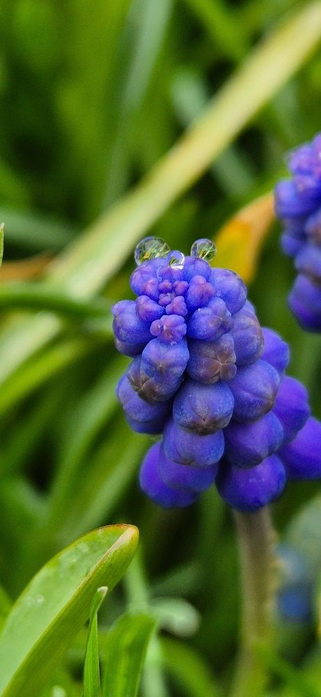 Фотография автора Ольга Мусина