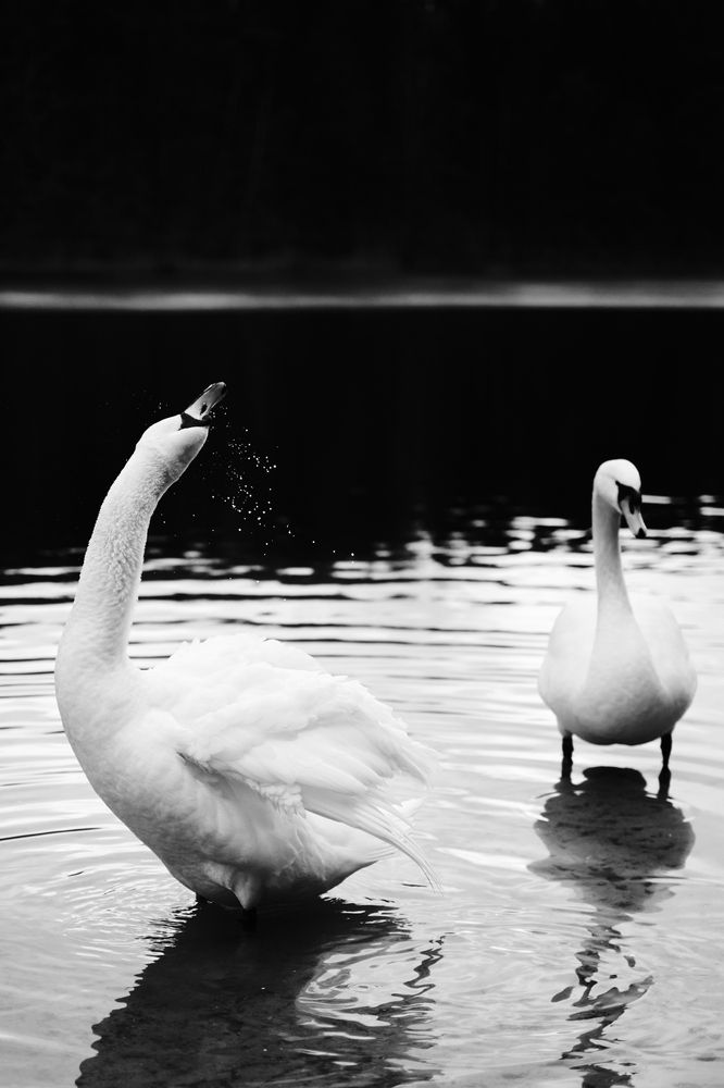 Photograph by Георгий Савустьян