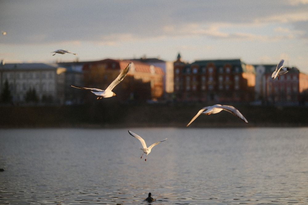 Photograph by Кирилл Царев