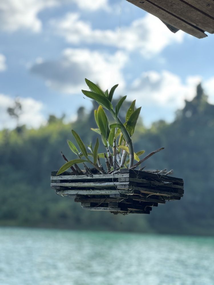 Фотография автора Диана