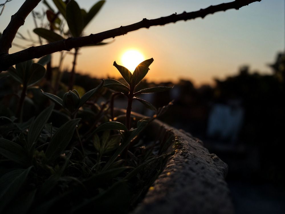 Photograph by Himanshu Sharma