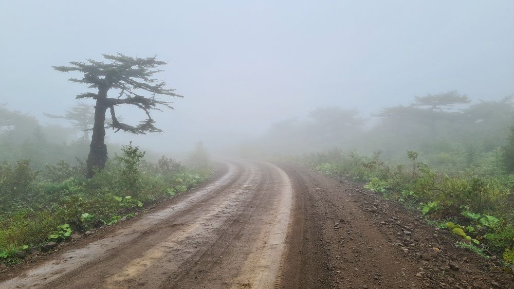 Photograph by Оксана Новикова