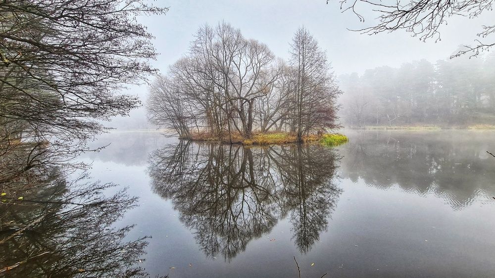 Photograph by Оксана Новикова