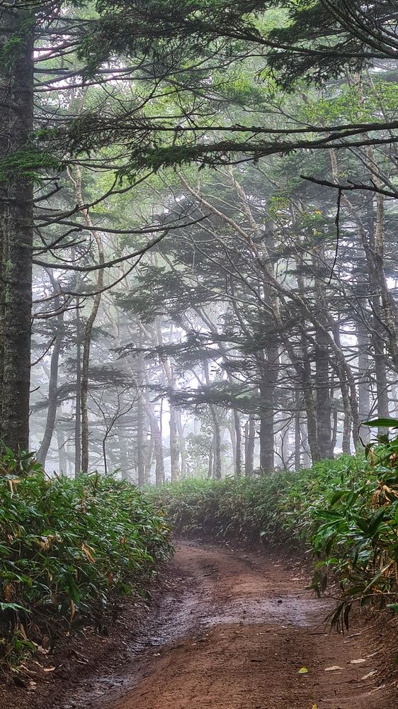 Photograph by Оксана Новикова