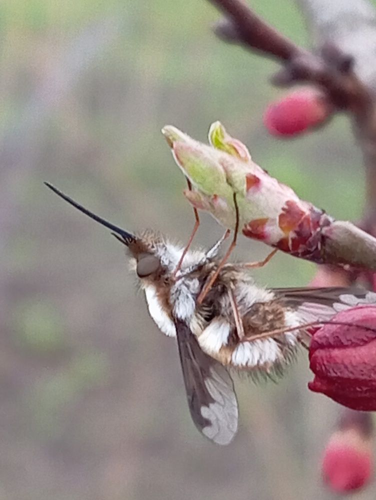 Photograph by Елена Коробченко