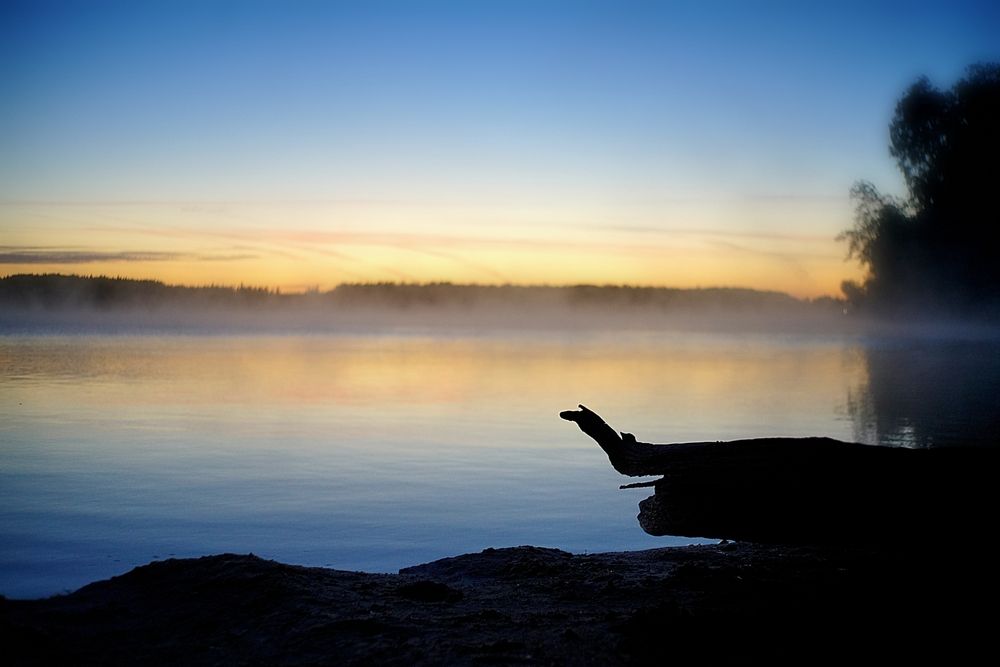 Photograph by Никита Полозов