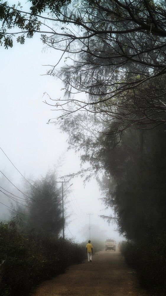 Photo #12140038