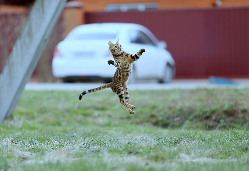 Photograph by Андрей Автухов