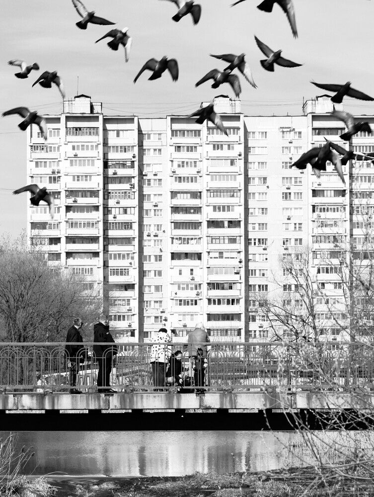 Photograph by Владимир Малёшин