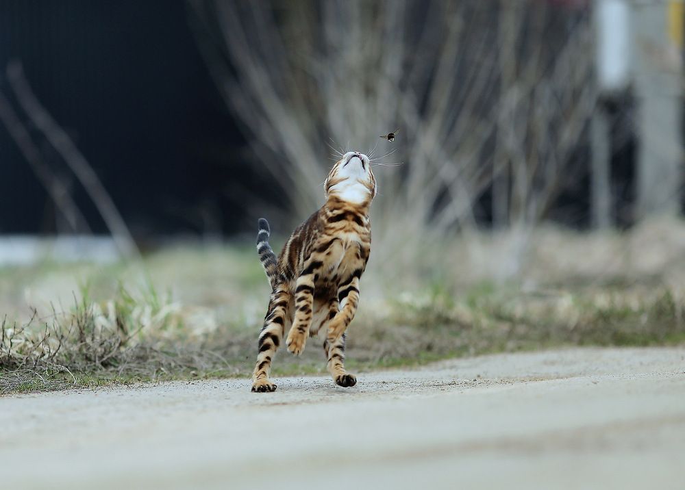 Photograph by Андрей Автухов