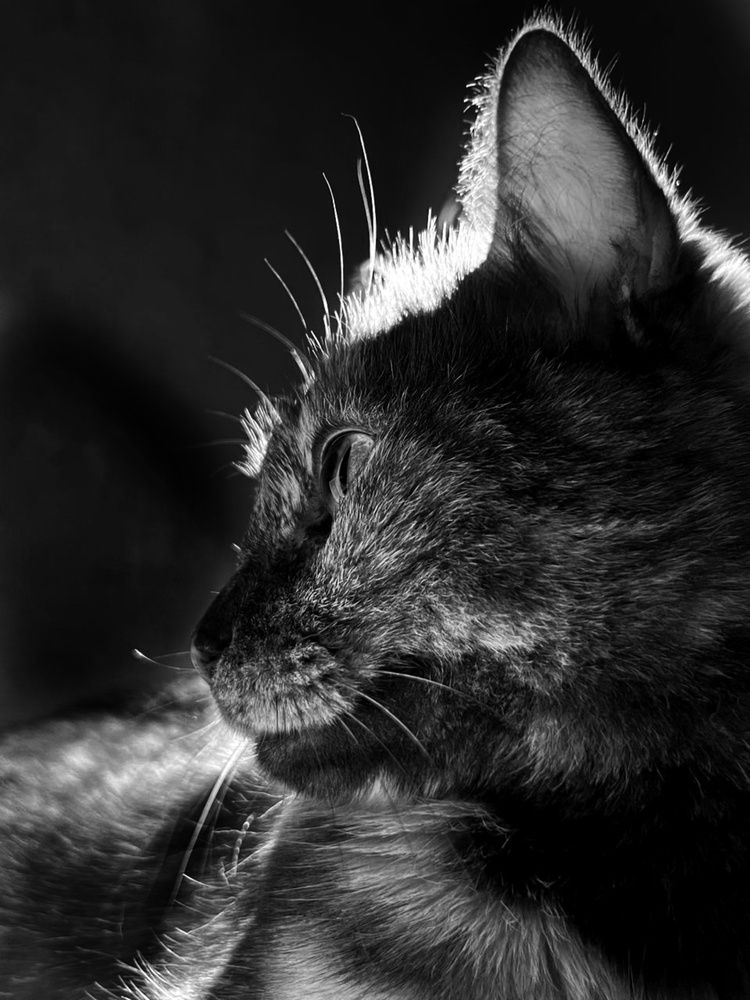 Photograph by Ирина Козлова