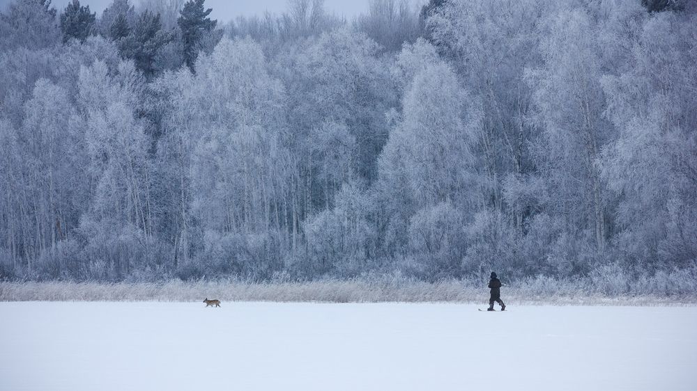 Photograph by Елена Абрамова